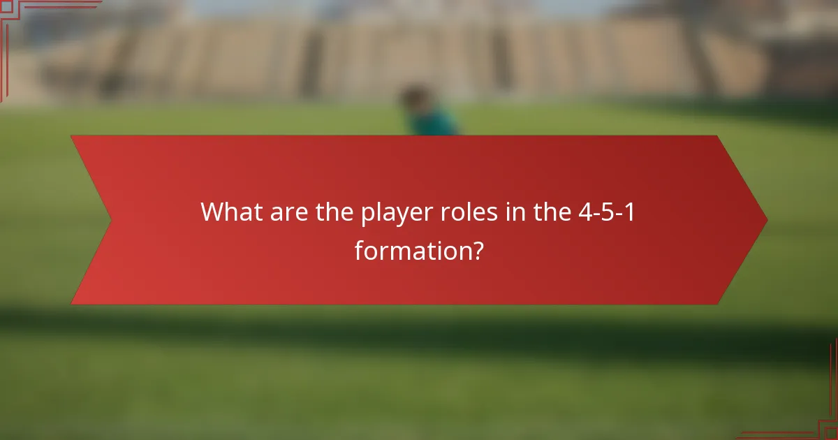 What are the player roles in the 4-5-1 formation?